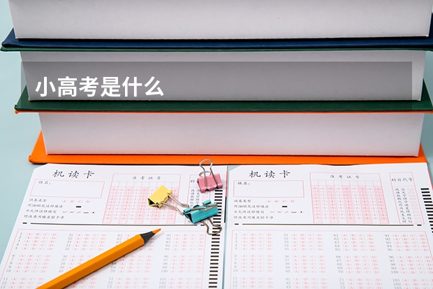 小高考是什么