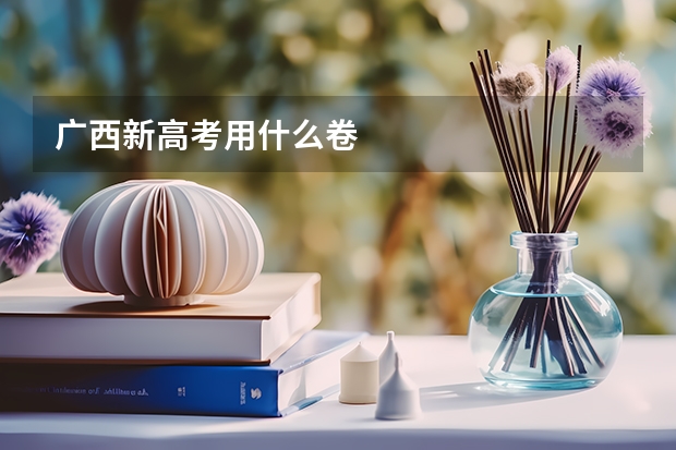 广西新高考用什么卷