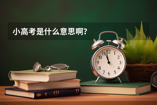 小高考是什么意思啊？