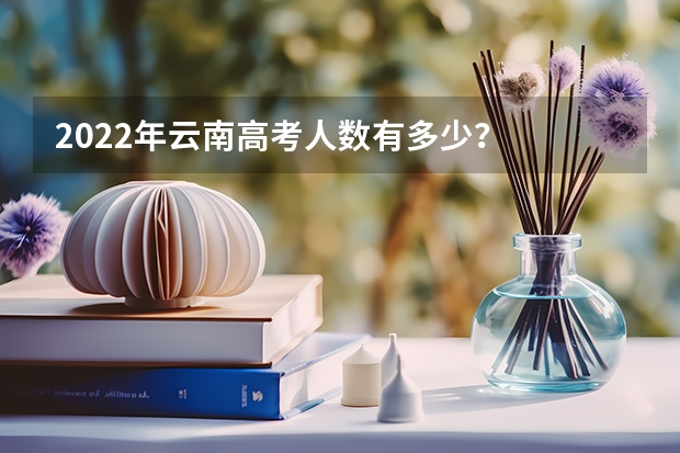 2022年云南高考人数有多少？