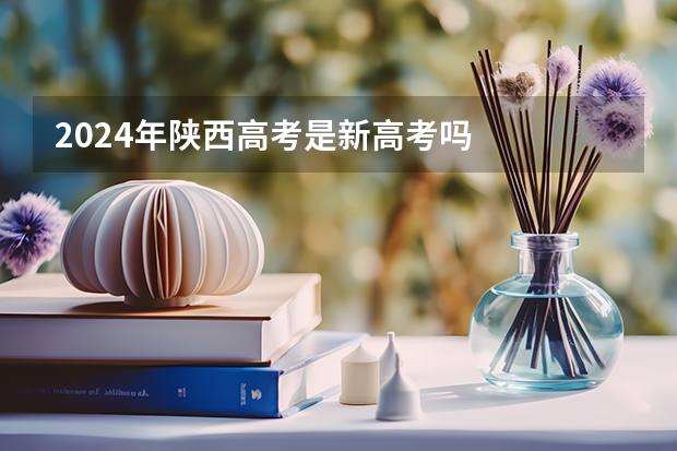 2024年陕西高考是新高考吗