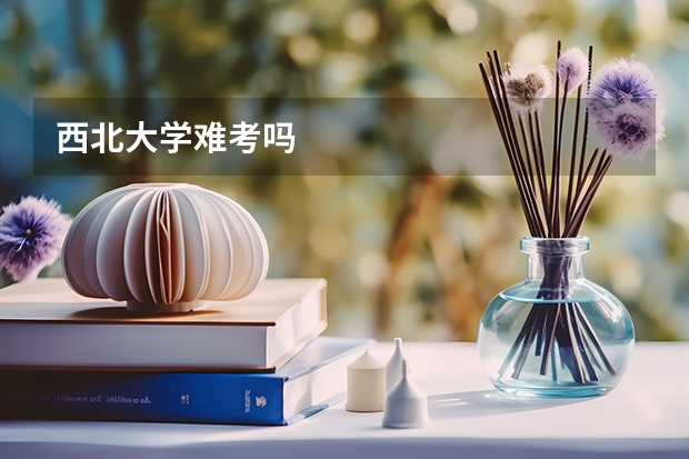 西北大学难考吗