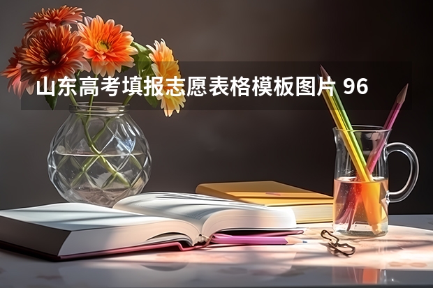 山东高考填报志愿表格模板图片 96志愿如何填报