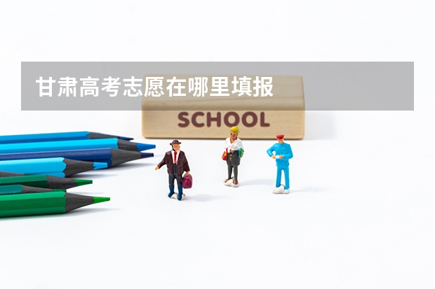 甘肃高考志愿在哪里填报