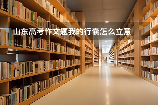山东高考作文题我的行囊怎么立意