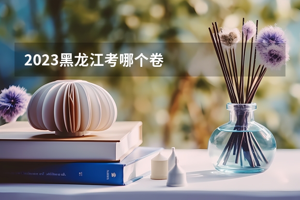 2023黑龙江考哪个卷