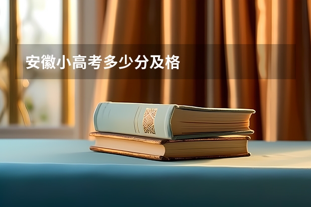 安徽小高考多少分及格