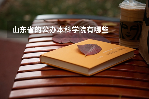 山东省的公办本科学院有哪些