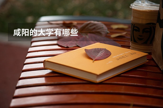 咸阳的大学有哪些