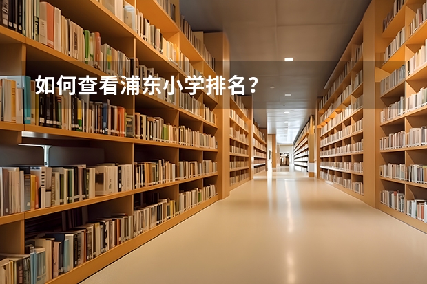 如何查看浦东小学排名？