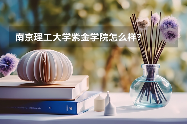 南京理工大学紫金学院怎么样？