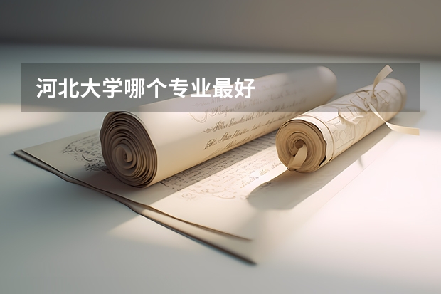 河北大学哪个专业最好
