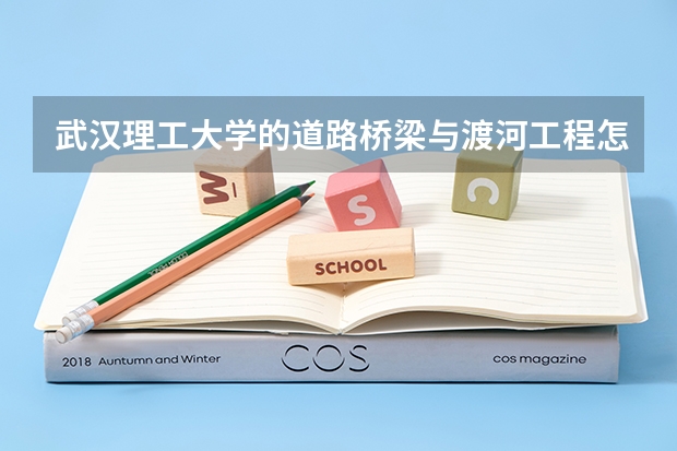 武汉理工大学的道路桥梁与渡河工程怎么样