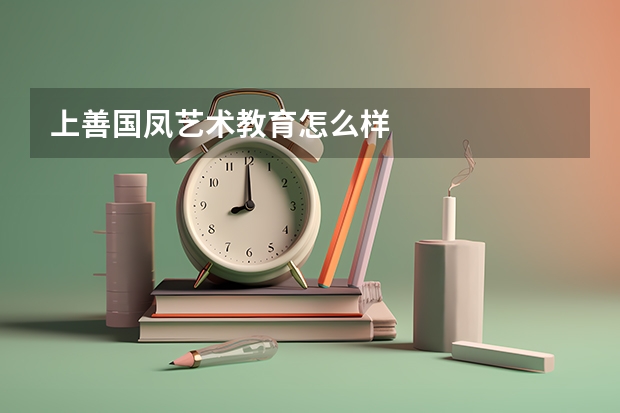 上善·国凤艺术教育怎么样