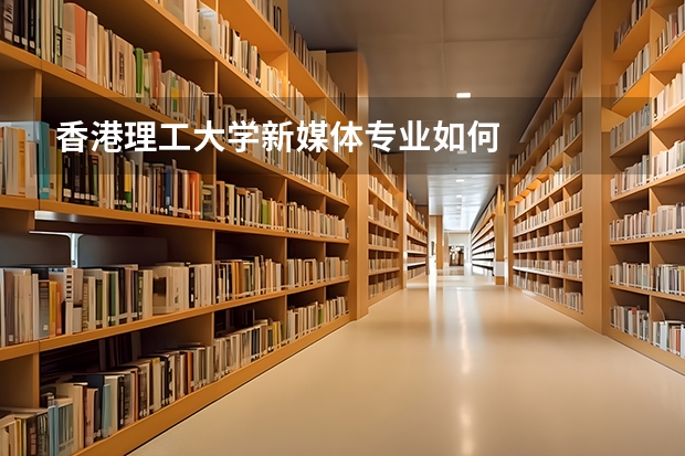 香港理工大学新媒体专业如何
