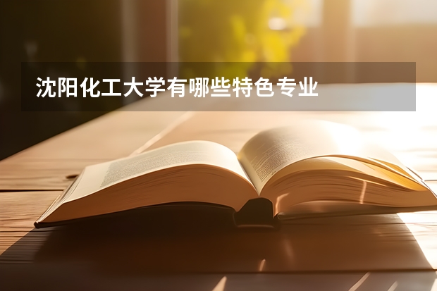 沈阳化工大学有哪些特色专业