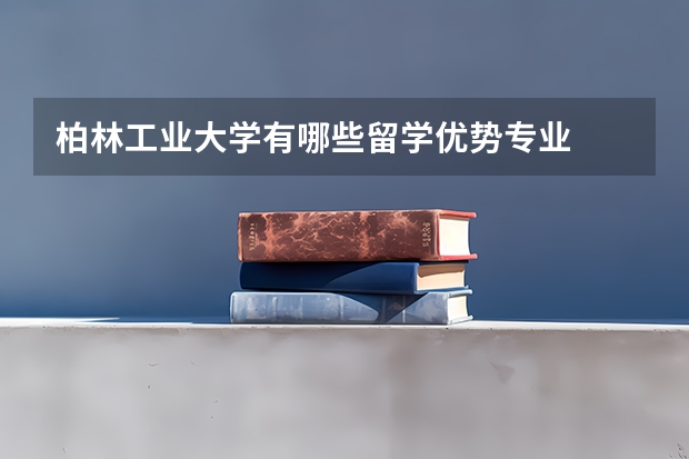 柏林工业大学有哪些留学优势专业