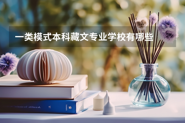一类模式本科藏文专业学校有哪些
