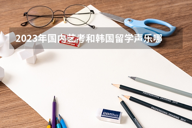 2023年国内艺考和韩国留学声乐哪个好