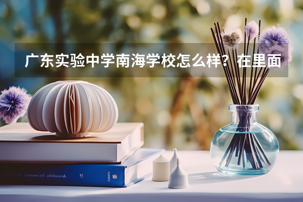 广东实验中学南海学校怎么样？在里面做教师好吗？