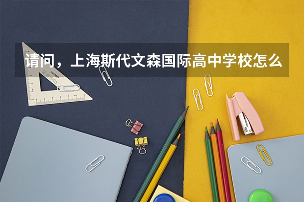 请问，上海斯代文森国际高中学校怎么样。