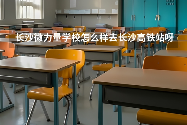 长沙微力量学校怎么样去长沙高铁站呀