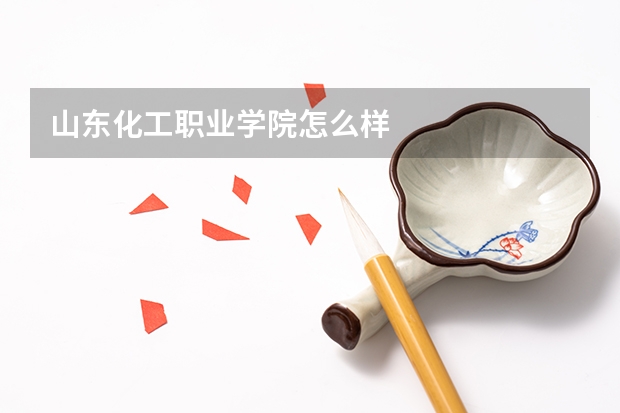 山东化工职业学院怎么样