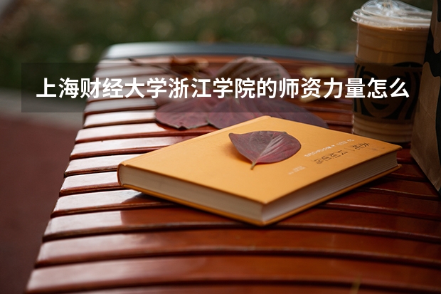 上海财经大学浙江学院的师资力量怎么样？