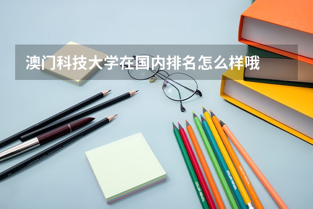 澳门科技大学在国内排名怎么样哦