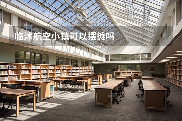 临沭航空小镇可以摆摊吗