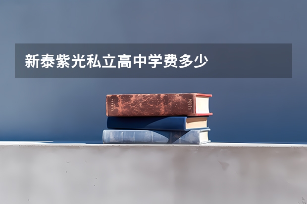 新泰紫光私立高中学费多少