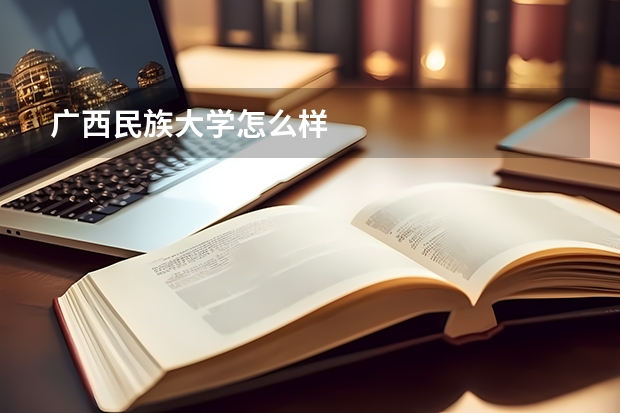 广西民族大学怎么样