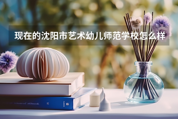 现在的沈阳市艺术幼儿师范学校怎么样
