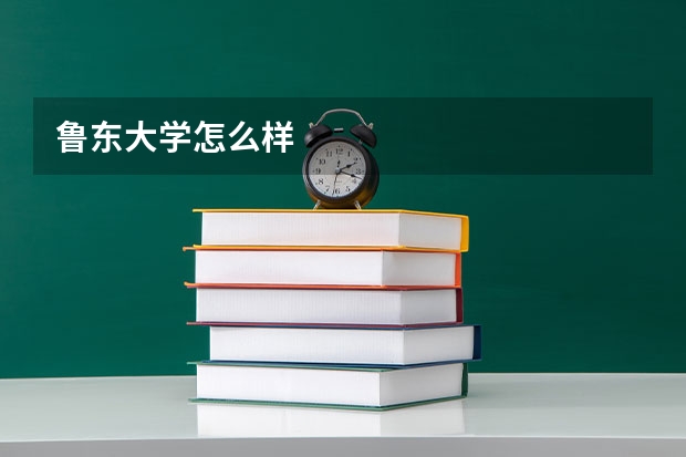 鲁东大学怎么样