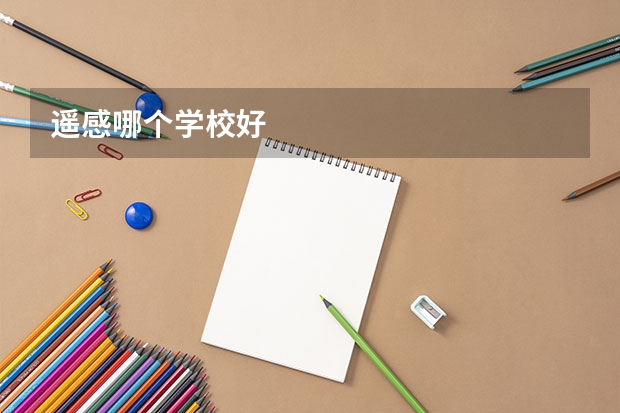 遥感哪个学校好