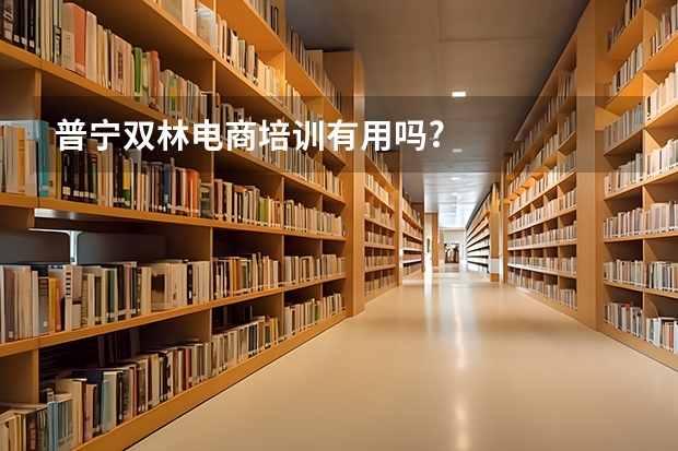普宁双林电商培训有用吗?
