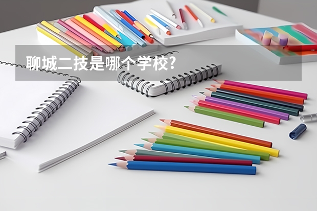 聊城二技是哪个学校?