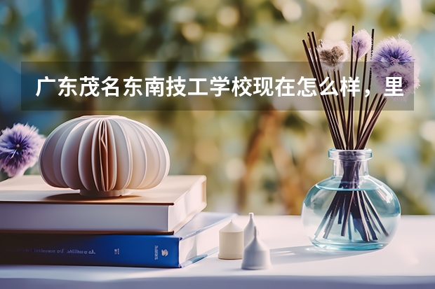 广东茂名东南技工学校现在怎么样，里面乱吗，有谁在这个学校读的，帮我回答下