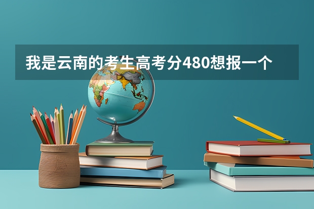 我是云南的考生高考分480想报一个本省二本软件工程怎么报比较稳，急求！马上就快报志愿了