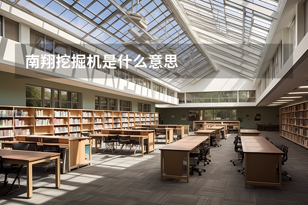 南翔挖掘机是什么意思