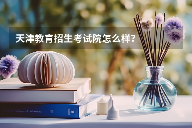 天津教育招生考试院怎么样？