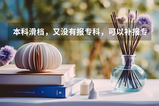 本科滑档，又没有报专科，可以补报专科吗？