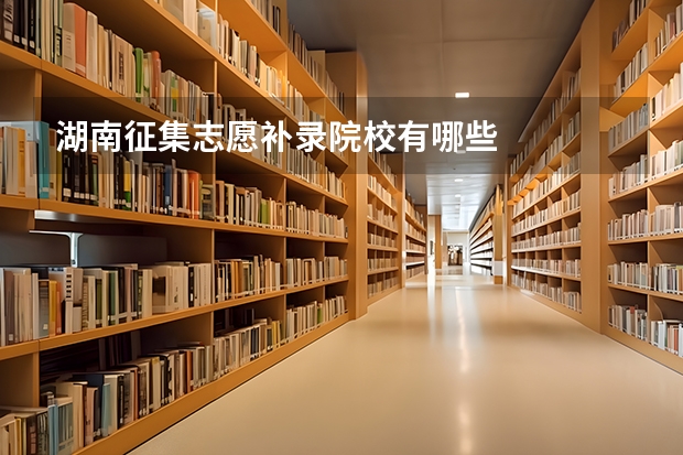 湖南征集志愿补录院校有哪些