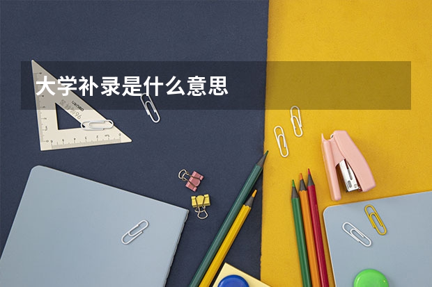 大学补录是什么意思