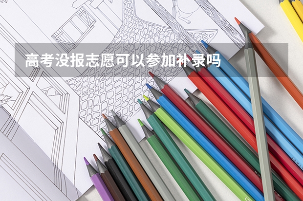 高考没报志愿可以参加补录吗
