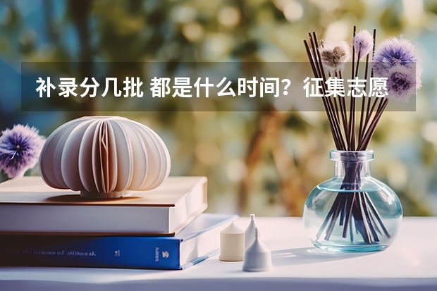 补录分几批 都是什么时间?征集志愿呢?