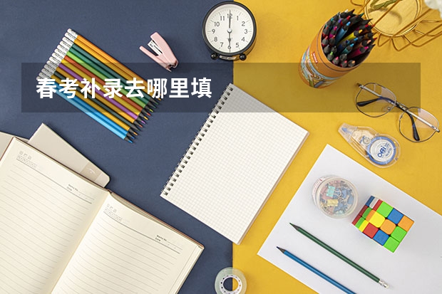 春考补录去哪里填
