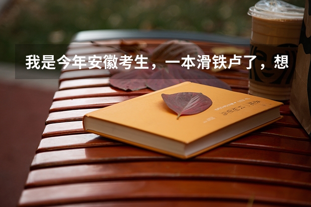 我是今年安徽考生，一本滑铁卢了，想填征集志愿，特此请教。征集志愿原则是什么？