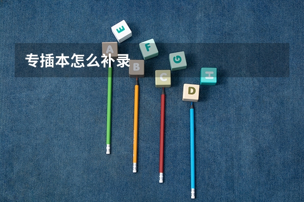 专插本怎么补录