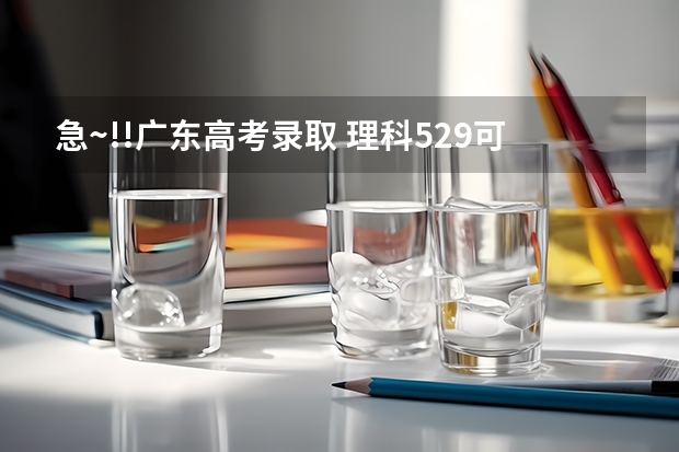 急~!!广东高考录取 理科529可以上茂名学院吗